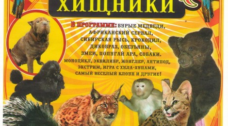 Цирк «Хищники» (11.12.12)