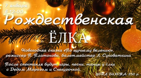 Рождественская елка (7.01.13)