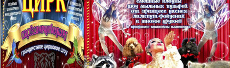 ЦИРК «МариАрт» 14.03.20