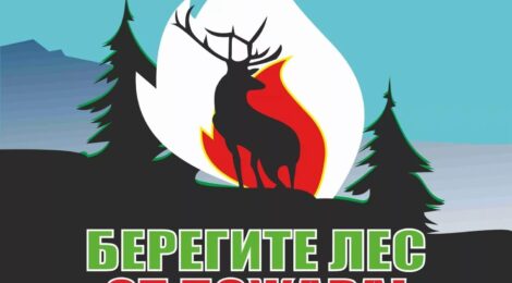 Ответственность за пожары
